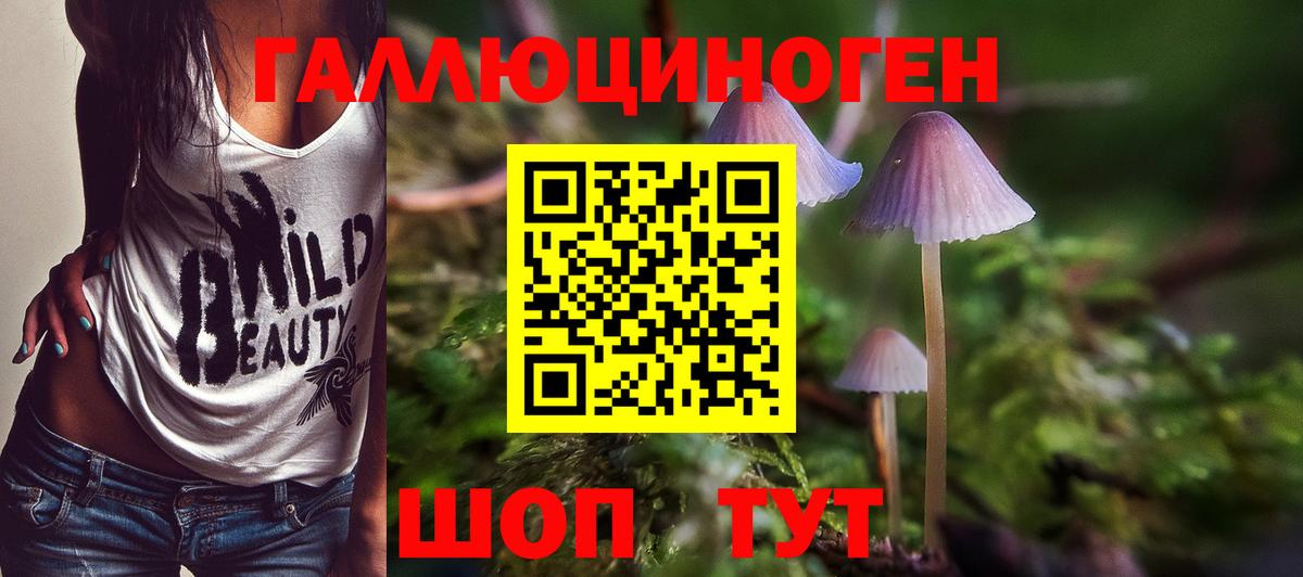 Галлюциногенные грибы мицелий Лиски