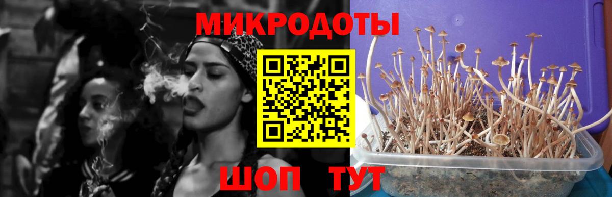 Псилоцибиновые грибы ЛСД  Псилоцибиновые грибы GOLDEN TEACHER  Лиски  Вход с VPN 